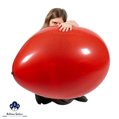 Globos Payaso P-29E 26" Assorted Standard Latex Balloons – (Pack of 5)